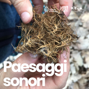 Paesaggi sonori - immweb